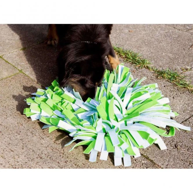 PROCYON Schnüffelwiese - Grün-Weiß 4 PROCYON Schnüffelwiese - Grün-Weiß – Bild 2