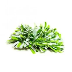 PROCYON Schnüffelwiese - Grün-Weiß 8 PROCYON Schnüffelwiese - Grün-Weiß -FLEXI Verkäufe ps 90345 2