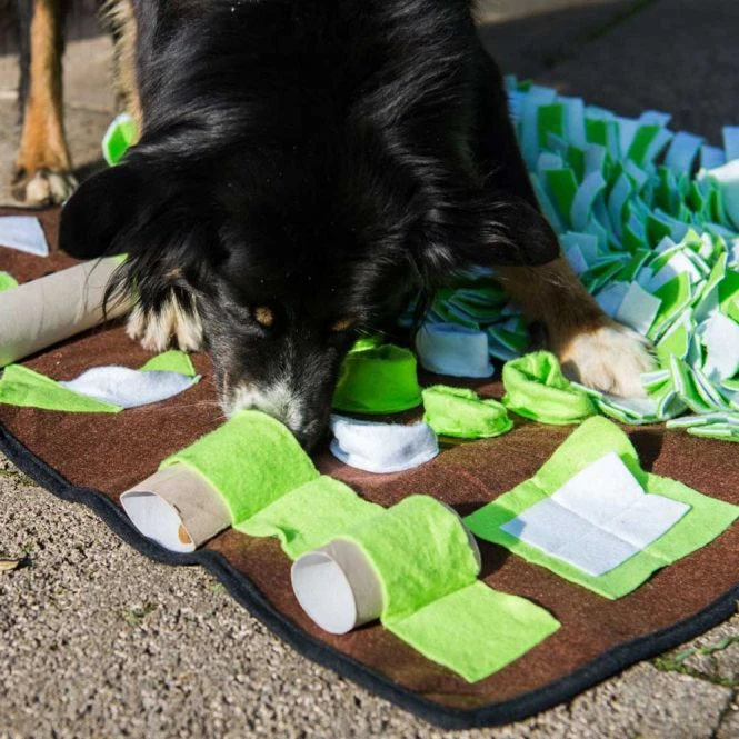 PROCYON Intelligenzschnüffelmatte 4 PROCYON Intelligenzschnüffelmatte – Bild 2