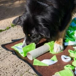 PROCYON Intelligenzschnüffelmatte 11 PROCYON Intelligenzschnüffelmatte -FLEXI Verkäufe ps 90346 4