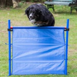 PROCYON Obedience Hürde - Geschlossen