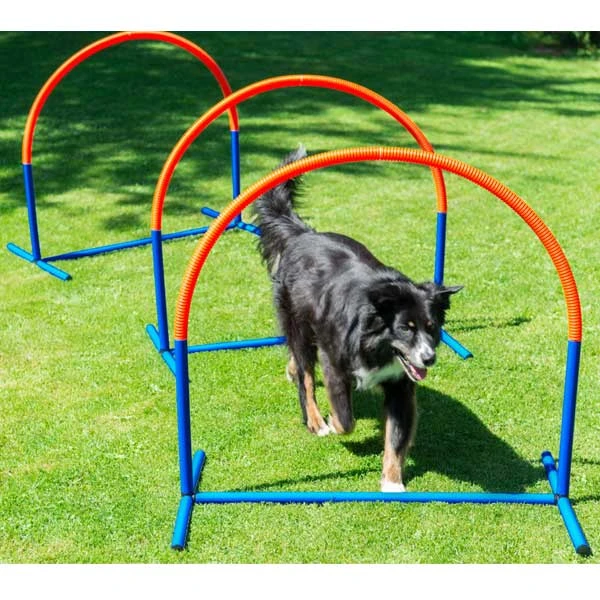 PROCYON Hooper Agility Bogen 4 PROCYON Hooper Agility Bogen – Bild 2