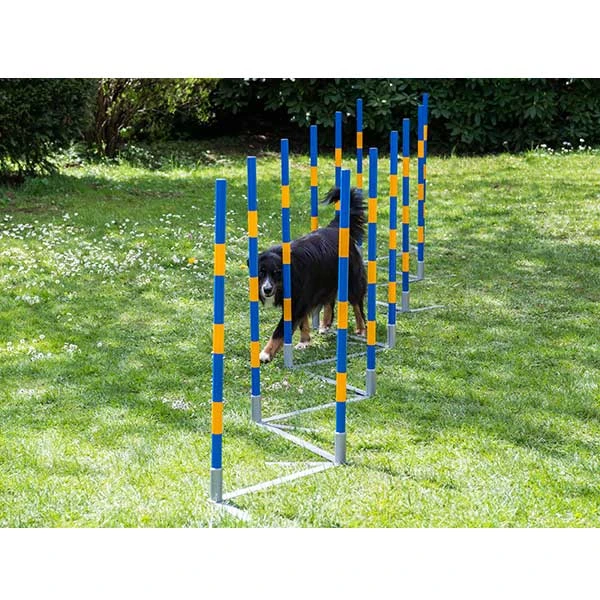 PROCYON Dog Agility Profi Alu Slalom 4 PROCYON Dog Agility Profi Alu Slalom – Bild 2