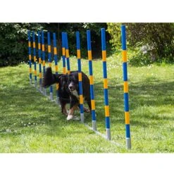 PROCYON Dog Agility Profi Alu Slalom