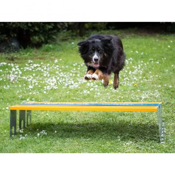 PROCYON Dog Agility Profi Weitsprung-Hürde 4 PROCYON Dog Agility Profi Weitsprung-Hürde – Bild 2