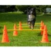 Dog Agility 3er Set Pylonen-Hürden - 38 Cm 1 Dog Agility 3er Set Pylonen-Hürden - 38 Cm -FLEXI Verkäufe pylonenorange