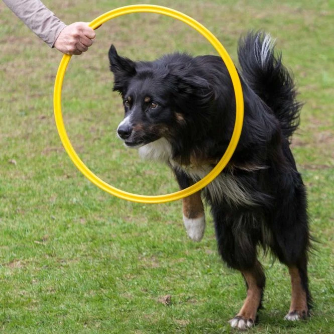 Dog Agility 3er Set Pylonen-Hürden (30cm) + Sprungring 4 Dog Agility 3er Set Pylonen-Hürden (30cm) + Sprungring – Bild 2