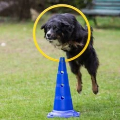 Dog Agility 3er Set Pylonen-Hürden (50cm) + Sprungring -FLEXI Verkäufe ring1