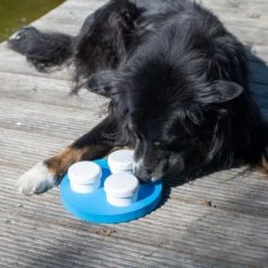 PROCYON Schnüffel-Ring -FLEXI Verkäufe sad2183d 2