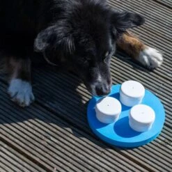 PROCYON Schnüffel-Ring -FLEXI Verkäufe sad2183d 3