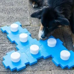 Dog Agility Schnüffel-Cube -FLEXI Verkäufe schnueffel cube 4