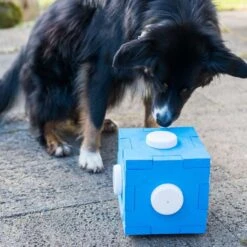 Dog Agility Schnüffel-Cube -FLEXI Verkäufe schnueffel cube 5