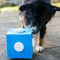 Dog Agility Schnüffel-Cube -FLEXI Verkäufe schnueffel cube 7